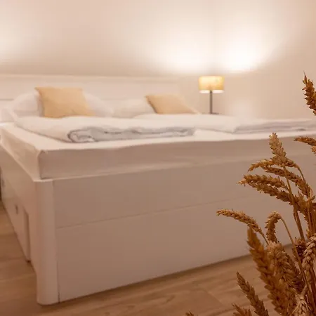 Zvane Appartement Malinska